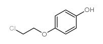 4-(2-chloroethoxy)phenol