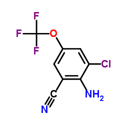 2-Amino-3-chloro-5-(trifluoromethoxy)benzonitrile