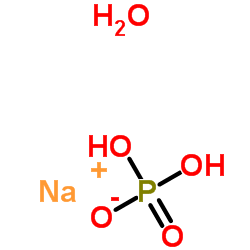 Sodium Phosphate Monobasic Monohydrate CAS:10049-21-5 manufacturer price 第1张