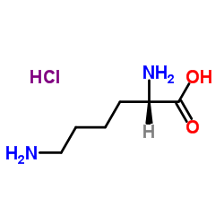 L-Lysine Hydrochloride CAS:10098-89-2 manufacturer price 第1张