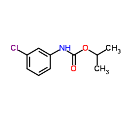 chlorpropham CAS:101-21-3 manufacturer price 第1张