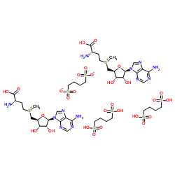 Ademetionine 1,4-butanedisulfonate CAS:101020-79-5 manufacturer price 第1张