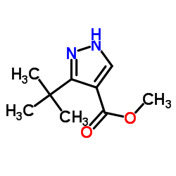 Methyl 3-(tert-butyl)-1H-pyrazole-4-carboxylate