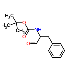 2-Methyl-2-propanyl (1-oxo-3-phenyl-2-propanyl)carbamate CAS:103127-53-3 第1张