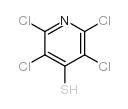 2,3,5,6-Tetrachloropyridine-4-thiol