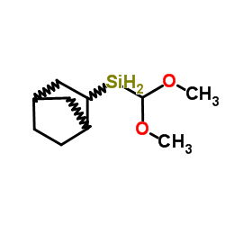 2-(dimethoxymethylsilyl)-bicyclo[2,2,1]heptanes