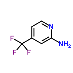 2-Amino-4-(trifluoromethyl)pyridine Cas:106447-97-6 第1张