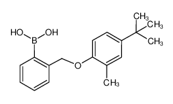 2-[(4-tert-Butyl-2-methylphenoxy)methyl]phenylboronic acid