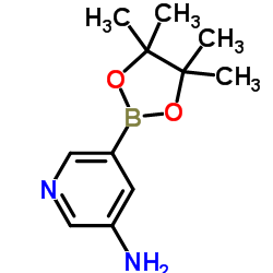 3-Aminopyridine-5-boronic Acid Pinacol Ester