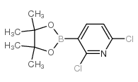 2,6-Dichloropyridine-3-boronic acid pinacol ester