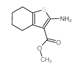 Methyl 2-amino-4,5,6,7-tetrahydrobenzo[b]thiophene-3-carboxylate CAS:108354-78-5 第1张