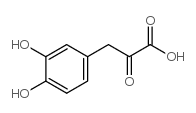 3,4-Dihydroxyphenylpyruvic Acid CAS:109170-71-0 manufacturer price 第1张