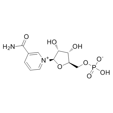 Β-Nicotinamide Mononucleotide NMN Cas:1094-61-7 第1张