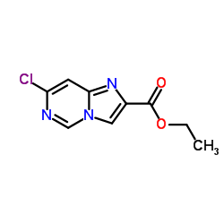 Ethyl 7-chloroimidazo[1,2-c]pyrimidine-2-carboxylate