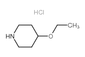 4-Ethoxypiperidine Hydrochloride