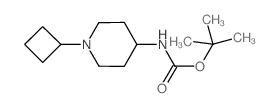 4-(Boc-amino)-1-cyclobutyl-piperidine