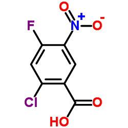 2-Chloro-4-fluoro-5-nitrobenzoic Acid CAS:114776-15-7 manufacturer price 第1张