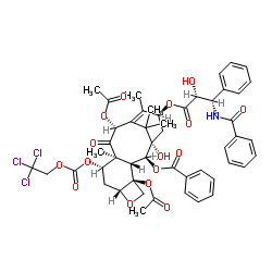 7-Troc-paclitaxel CAS:114915-17-2 manufacturer price 第1张