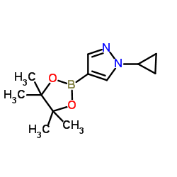 1-Cyclopropyl-4-(4,4,5,5-tetramethyl-1,3,2-dioxaborolan-2-yl)-1H-pyrazole CAS:1151802-22-0 manufacturer price 第1张