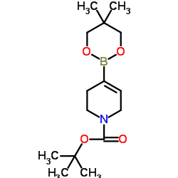 tert-butyl 4-(5,5-dimethyl-1,3,2-dioxaborinan-2-yl)cyclohex-3-ene-1-carboxylate