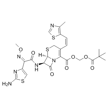 Cefditoren pivoxil