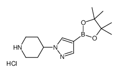 4-[4-(4,4,5,5-tetramethyl-1,3,2-dioxaborolan-2-yl)pyrazol-1-yl]piperidine,hydrochloride