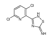 3-(3,6-Dichloro-2-pyridinyl)-1,2,4-thiadiazol-5-amine