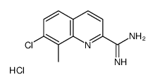 7-chloro-8-methylquinoline-2-carboximidamide,hydrochloride