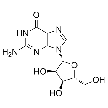 Guanosine CAS:118-00-3 manufacturer price 第1张