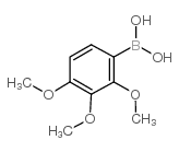 2,3,4-Trimethoxyphenylboronic acid