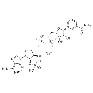 Beta-Nicotinamide Adenine Dinucleotide Phosphate Sodium Salt NADP+Na Cas:1184-16-3 第1张
