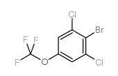 2-bromo-1,3-dichloro-5-(trifluoromethoxy)benzene