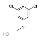 N-Methyl 3,5-dichloroaniline, HCl CAS:1197239-04-5 第1张