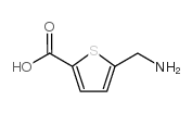 5-(aminomethyl)thiophene-2-carboxylic acid