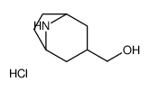 8-azabicyclo[3.2.1]octan-3-ylmethanol,hydrochloride CAS:1209123-25-0 第1张