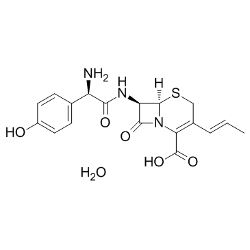 Cefprozil Hydrate CAS:121123-17-9 manufacturer price 第1张