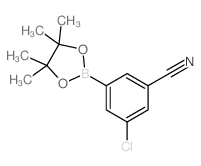 3-Chloro-5-(4,4,5,5-tetramethyl-1,3,2-dioxaborolan-2-yl)benzonitrile