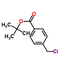 tert-butyl 4-(chloromethyl)benzoate Cas:121579-86-0 第1张