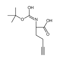 (R)-2-(Boc-amino)-5-hexynoic acid CAS:1217464-82-8 第1张