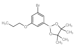 2-(3-Bromo-5-propoxyphenyl)-4,4,5,5-tetramethyl-1,3,2-dioxaborolane