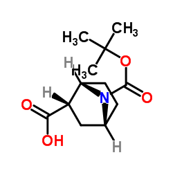 (1S,2S,4R)-7-(tert-butoxycarbonyl)-7-azabicyclo[2.2.1]heptane-2-carboxylic acid