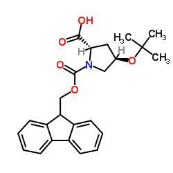 Fmoc-Hyp(tBu)-OH