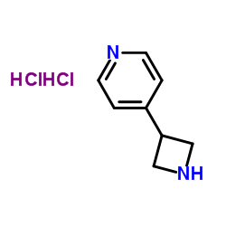 4-(3-Azetidinyl)pyridine dihydrochloride CAS:1236791-32-4 第1张