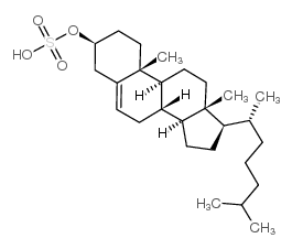 cholesterol sulfate