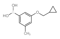 [3-(cyclopropylmethoxy)-5-methylphenyl]boronic acid