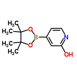 2-Hydroxypyridine-4-boronic acid pinacol ester