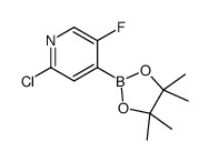 2-Chloro-5-fluoropyridine-4-boronic acid pinacol ester CAS:1256360-62-9 第1张