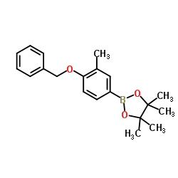 4-Benzyloxy-3-methylphenylboronic acid pinacol ester