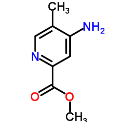 methyl 4-amino-5-methylpyridine-2-carboxylate