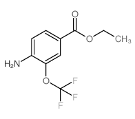 Ethyl 4-amino-3-(trifluoromethoxy)benzoate